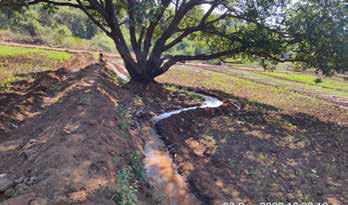 Organic farming using Eco-friendly techniques b