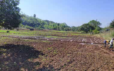 Vegetables and medicinal herbs are grown in Salem. The harvest is shared with the local people as well as distributed to other KAILĀSA ecosystems in South India. a